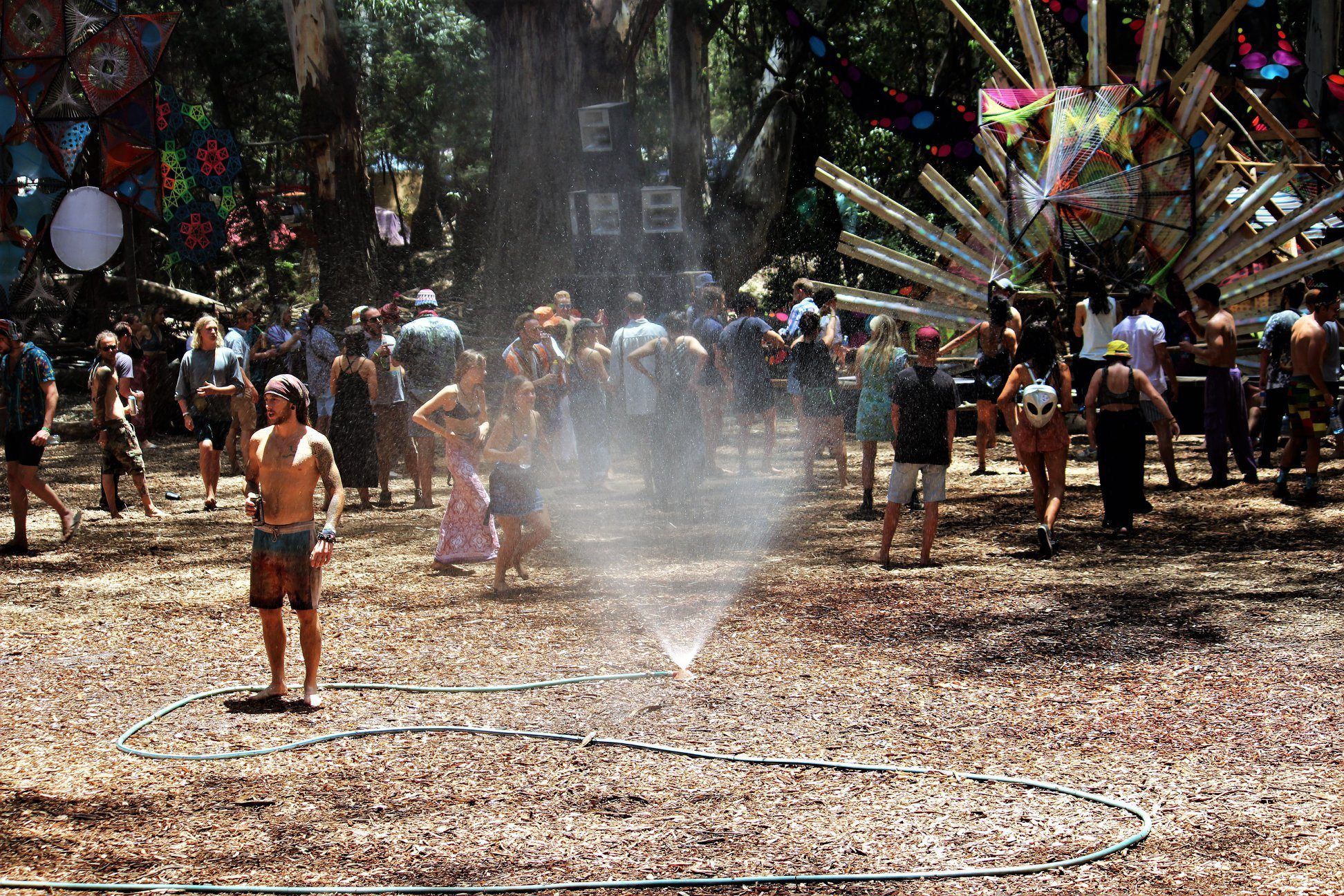 Sprinkler mist drifting over the wood-chip forest dancefloor in daylight, the crowd dancing through it