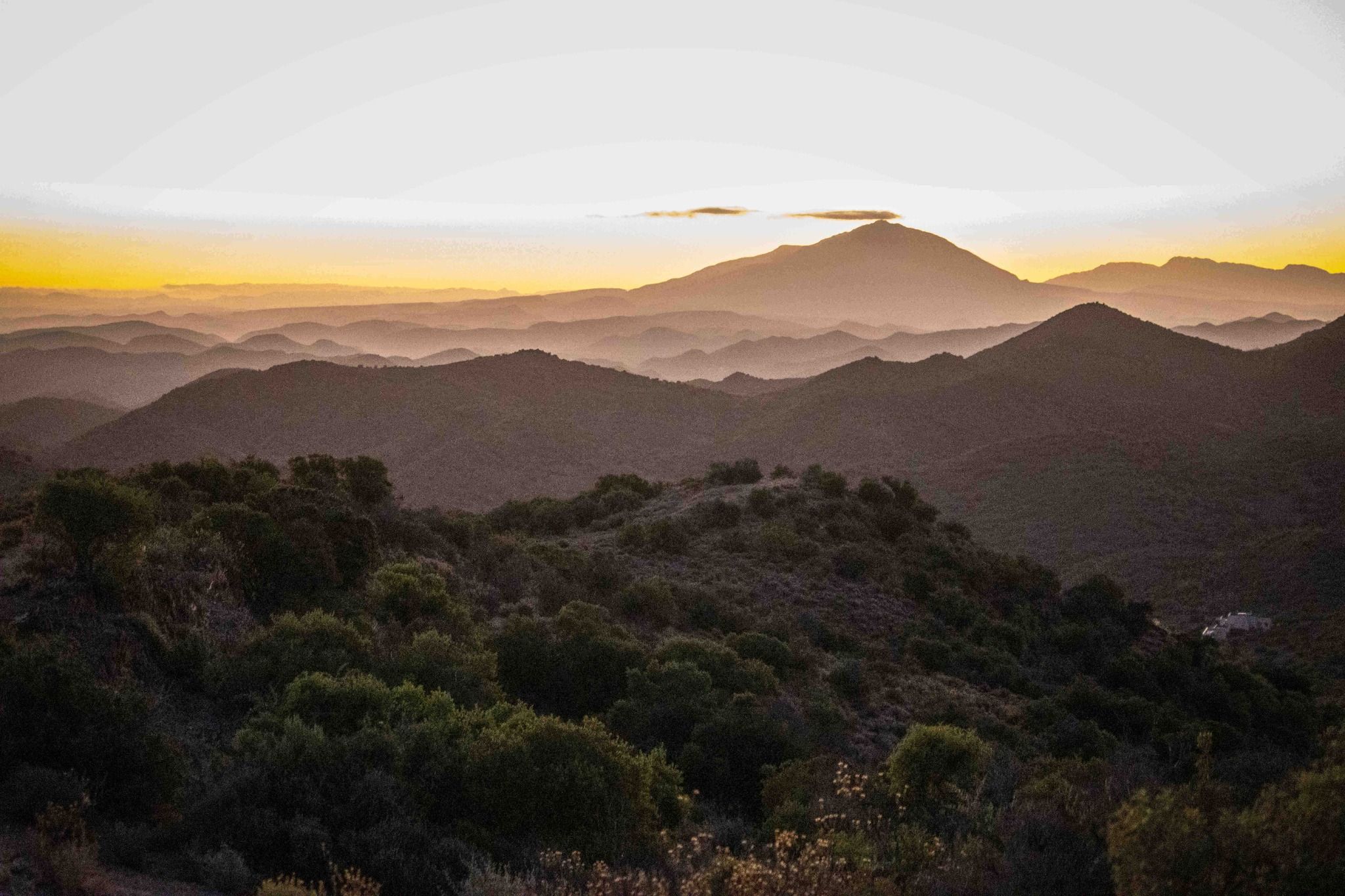 Layered mountain ridges fading into haze at sunset, with a band of gold along the horizon and dark bush in the foreground